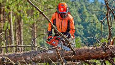 A forestry worker uses a Husqvarna chainsaw to perform tree limbing on a felled tree in Zimbabwe.