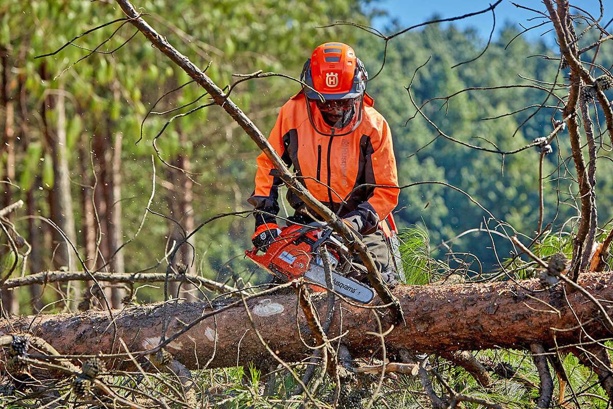 A forestry worker uses a Husqvarna chainsaw to perform tree limbing on a felled tree in Zimbabwe.
