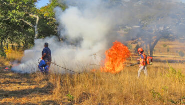 Two farmers burn a firebreak in Zimbabwe using Husqvarna and Hunter firefighting equipment.