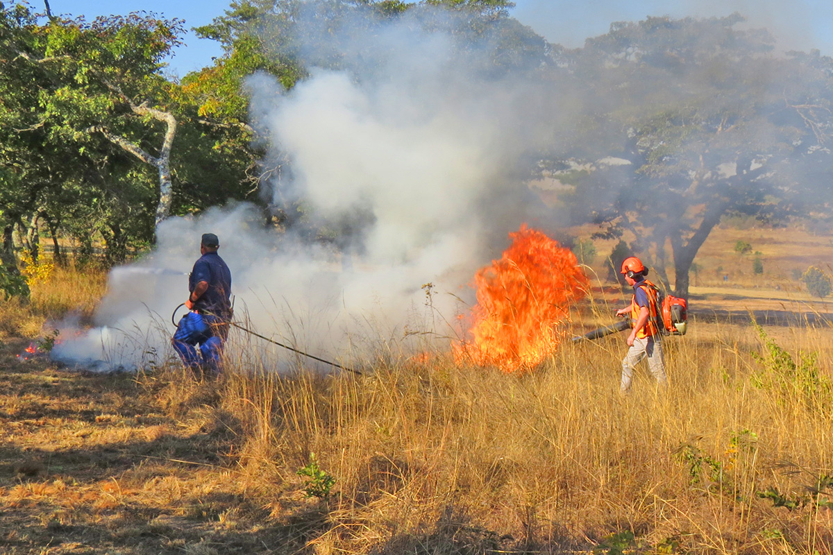 Two farmers burn a firebreak in Zimbabwe using Husqvarna and Hunter firefighting equipment.