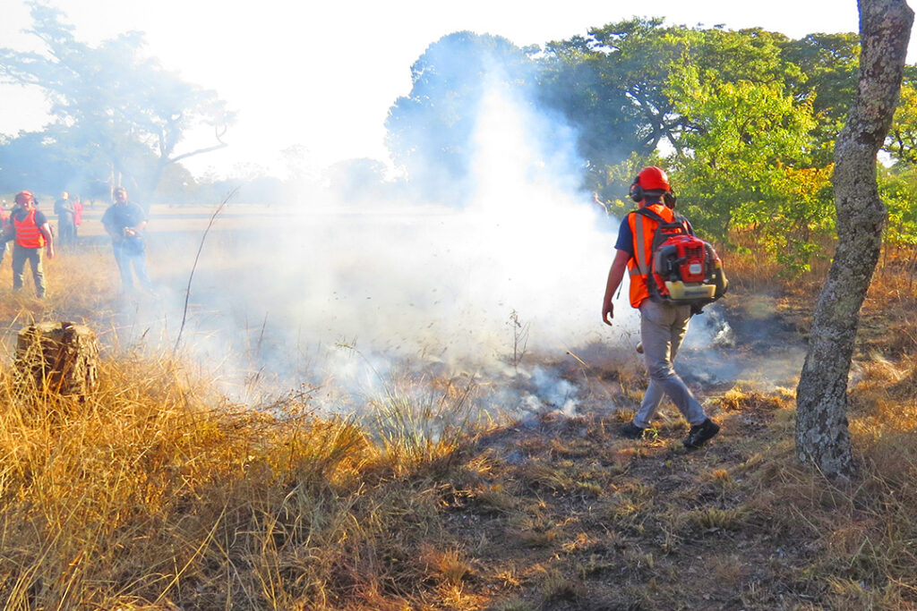 Two farmers burn a firebreak in Zimbabwe using Husqvarna and Hunter firefighting equipment.