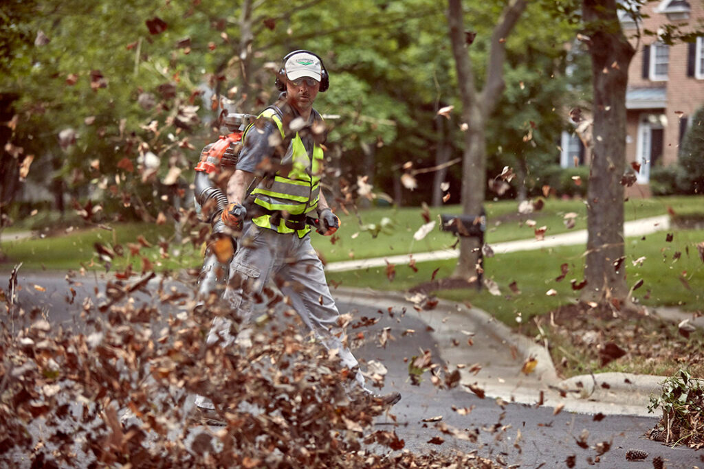 A man wearing a backpack leaf blower and blowing a bunch of brown leaves.