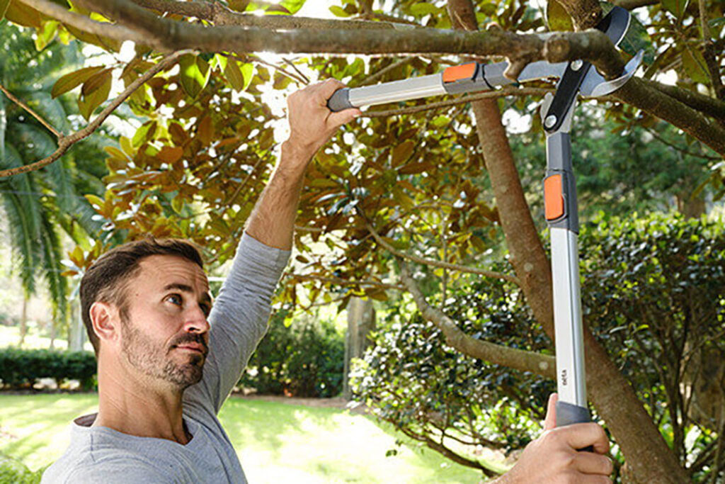 A man using Neta pruning loppers to prune a tree.